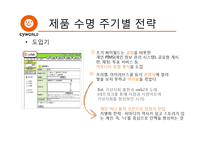 싸이월드 마케팅 전략 및 분석-7