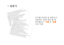 싸이월드 마케팅 전략 및 분석-8
