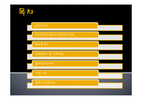 13장 글로벌경영활동의 재무적 회계적 통제-2