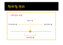 13장 글로벌경영활동의 재무적 회계적 통제-9