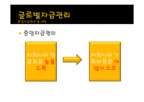 13장 글로벌경영활동의 재무적 회계적 통제-16