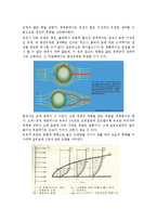 [화학공학실험] 레이놀즈수-4