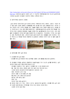 [보육학] 제 8장 보육시설 환경-20