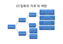 집회의 자유 -야간집회금지의 위헌성 여부-5