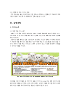 [사업계획서] 방문 탁묘 서비스-9