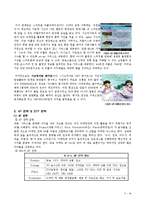 국내 방송사 기업의 전략 및 향후 전망 - 서울방송 SBS-8
