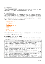 국내 방송사 기업의 전략 및 향후 전망 - 서울방송 SBS-16