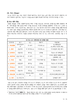 국내 방송사 기업의 전략 및 향후 전망 - 서울방송 SBS-19