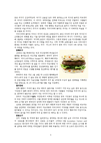 세계화와 다문화-4