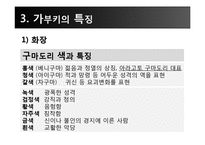 [일본문화] 가부키-16