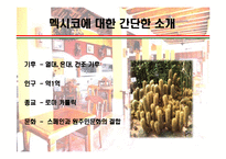 [세계의 음식문화] 멕시코음식에 대해서-3