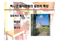 [세계의 음식문화] 멕시코음식에 대해서-5