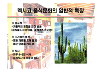 [세계의 음식문화] 멕시코음식에 대해서-7