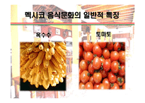 [세계의 음식문화] 멕시코음식에 대해서-8