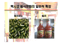 [세계의 음식문화] 멕시코음식에 대해서-9