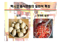 [세계의 음식문화] 멕시코음식에 대해서-10