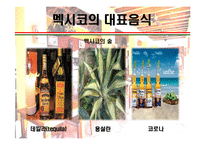 [세계의 음식문화] 멕시코음식에 대해서-18