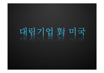 [국제법] 대림기업 對 미국-1