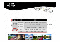 [지방행정론] 지역이기주의 - PIMFY 현상(경부고속철도 역명 선정 사례를 중심으로)-3