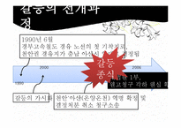 [지방행정론] 지역이기주의 - PIMFY 현상(경부고속철도 역명 선정 사례를 중심으로)-10