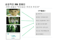 PR 캠페인 비평 레포트-17