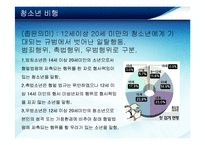 비행과 학교 부적응 아동-3