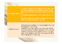 [장애인복지론] 장애인 자립생활-11
