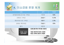 미소금융과 국외정책의 비교-13