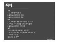 소프트웨어 불법복제의 방지방안-3