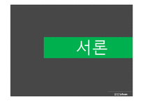 소프트웨어 불법복제의 방지방안-4