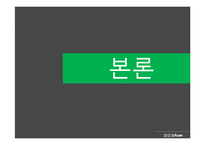 소프트웨어 불법복제의 방지방안-11