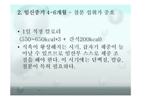 음식이 산모, 태아에게 미치는 영향-20