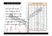 [세계도시론] 뉴욕-5