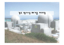 [환경행정론] 경주 방사성 폐기물 처리장-1