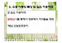[아동복지론] 서울SOS어린이마을 기관방문-19