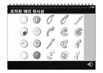 [생물공학개론] 진화론-5