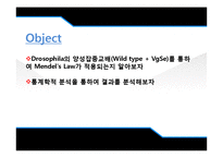 [유전학] Drosophila 를 이용한 상염색체 유전 양상 관찰-2
