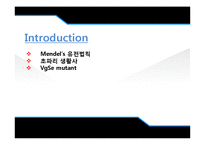 [유전학] Drosophila 를 이용한 상염색체 유전 양상 관찰-3