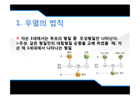 [유전학] Drosophila 를 이용한 상염색체 유전 양상 관찰-5