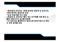[유전학] Drosophila 를 이용한 상염색체 유전 양상 관찰-12