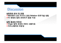 [유전학] Drosophila 를 이용한 상염색체 유전 양상 관찰-19