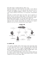 [전자화폐] 전자화폐의 개념과 분류, 장점, 문제점, 안전성-4