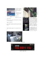 [광고론] 성적소구 광고 & 품위손상 광고-8