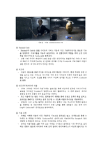 [마케팅관리] 다음커뮤니케이션 Daum의 마케팅 평가 및 제안-10