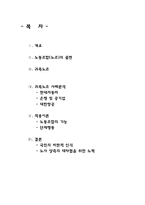 [노사관계론] 귀족노조 사례분석 및 적용이론-현대자동차, 대한항공 사례 외-2