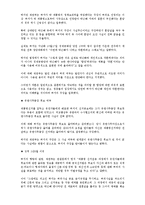 [경영학] 시장과 소비자-소비자의 주목을 끄는 노이즈 마케팅-5