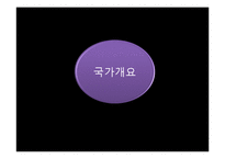 [무역학] 동남아 시장연구-싱가포르 시장분석-3