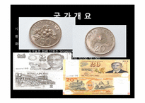 [무역학] 동남아 시장연구-싱가포르 시장분석-7