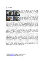 [미디어와 사회] 리얼리티 프로그램, 오디션 프로그램의 문제점과 향후 전망-3