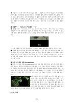 일본영화의 역사와 일본 애니메이션(재패니메이션)속 일본문화 고찰-20